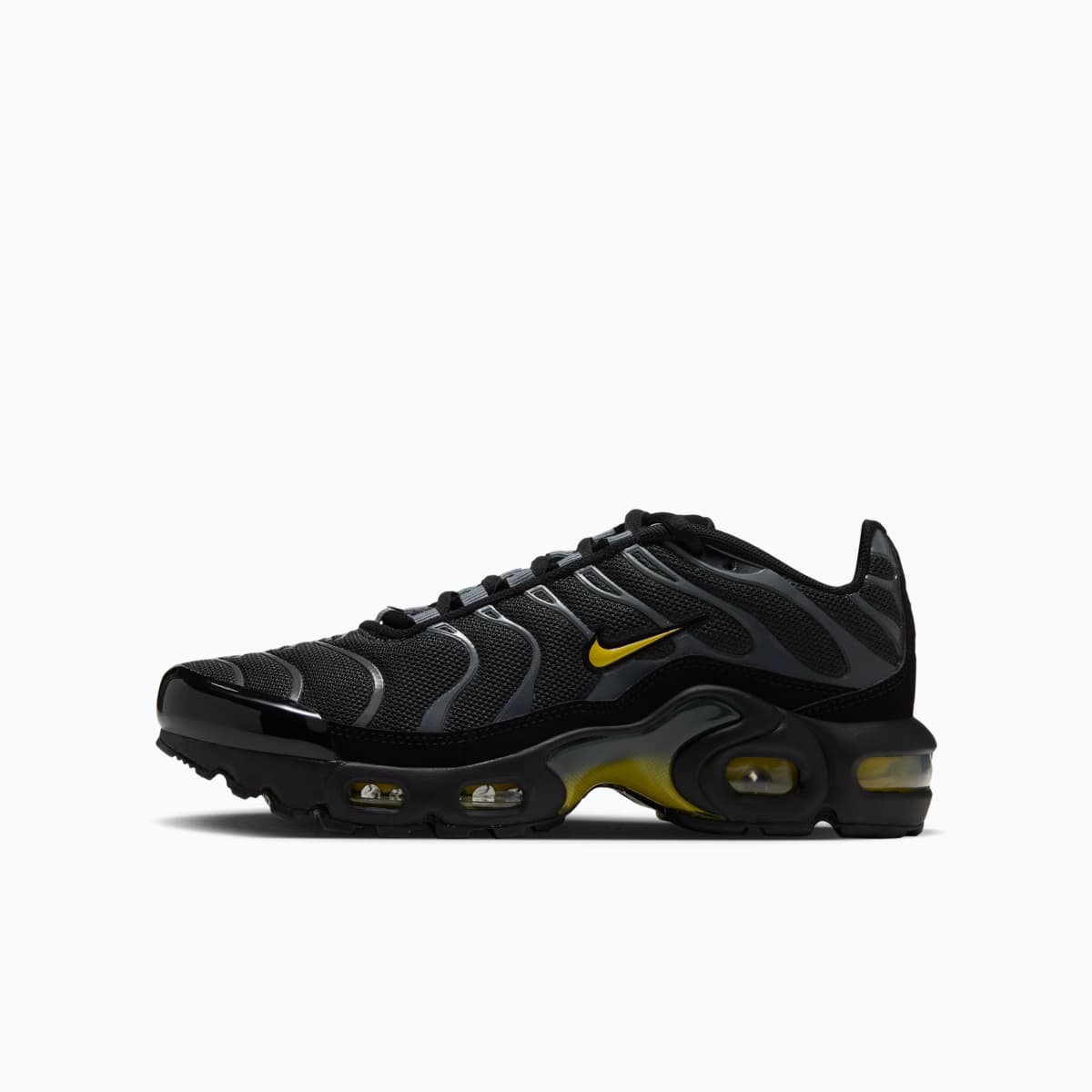 Nike Air Max Plus 'Gray'