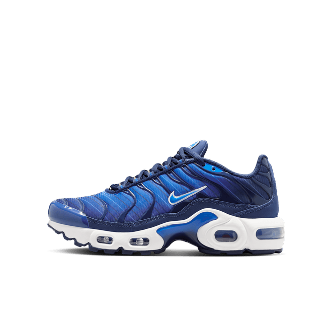 Nike Air Max Plus SE Older Kids'