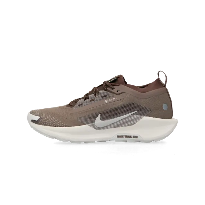 Nike Pegasus Trail 5 Gore-Tex SP mink brown