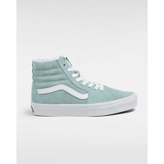 Vans Color Theory Sk8-hi