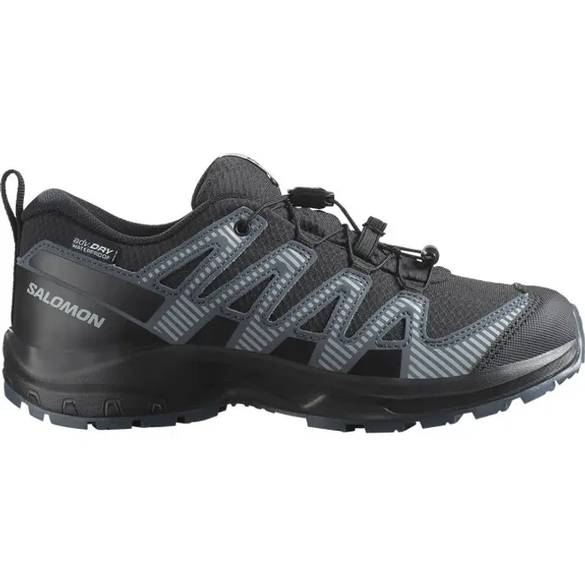 Salomon Xa Pro V8 Waterproof Black