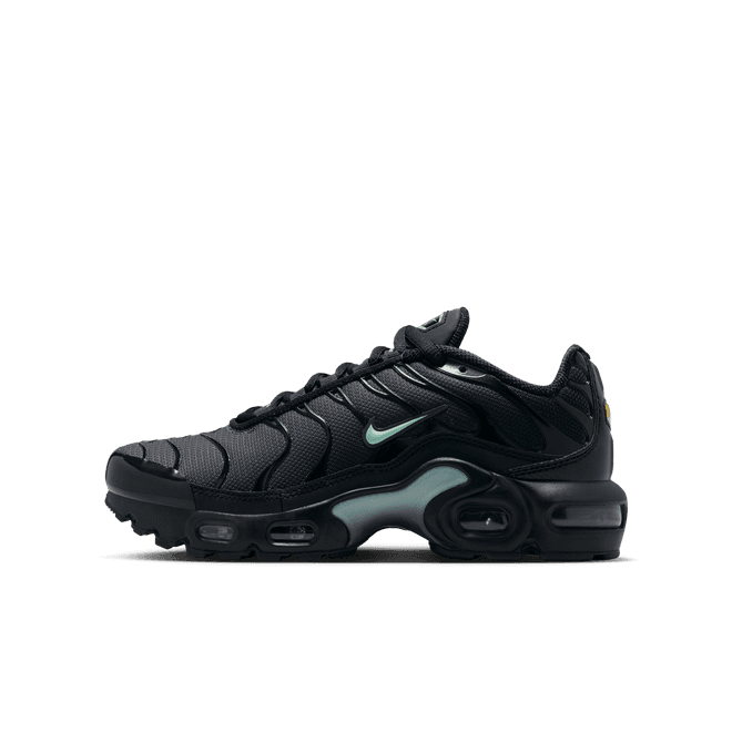 Nike Air Max Plus Older Kids'