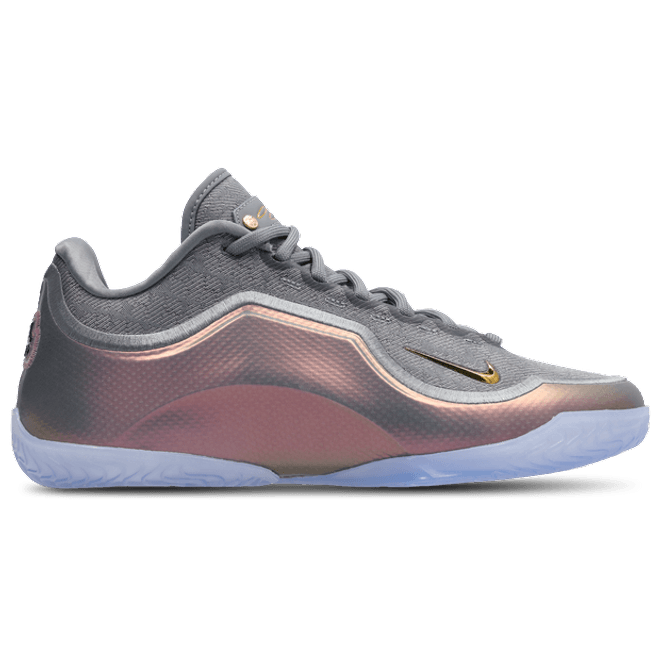 Nike LeBron Grey
