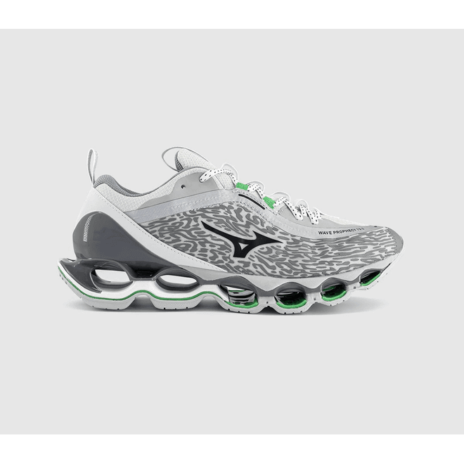 Mizuno Wave Prophecy 13.2