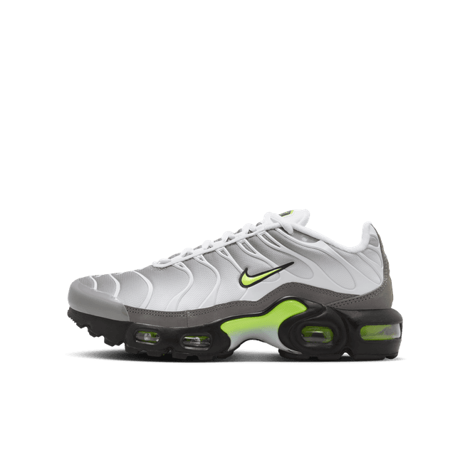 Nike Air Max Plus