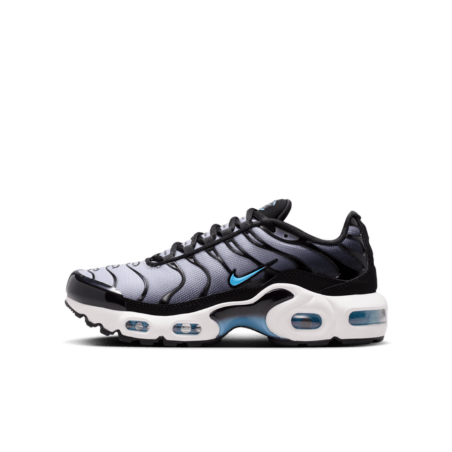 Nike Air Max Plus Older Kids'