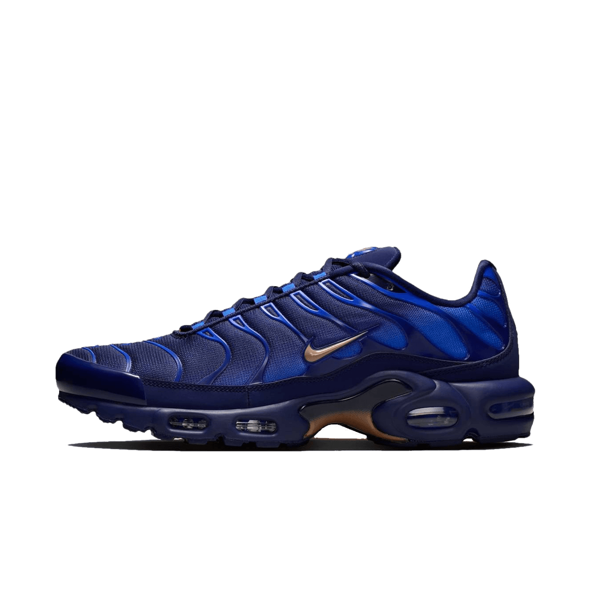 Nike Air Max Plus 'French Football Federation'