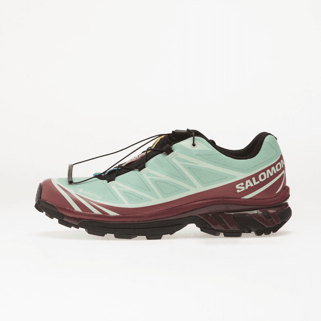 Salomon XT-6 GTX Lichen