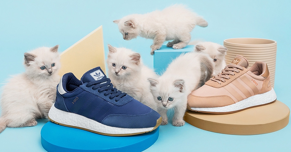 Check de poeslieve samenwerking tussen Sneakernstuff en adidas!