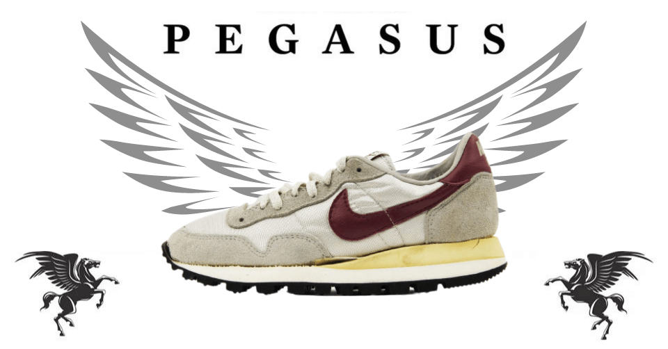 De 5 meest bijzondere Nike Pegasus sneakers