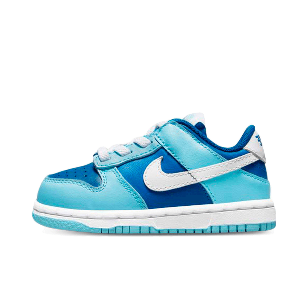 Nike Dunk Low Retro 'Argon'