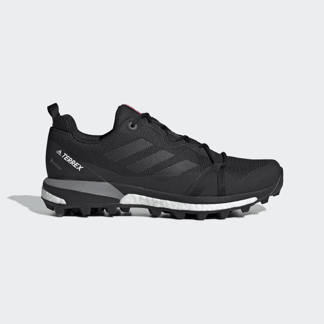Adidas Terrex Skychaser LT Goretex