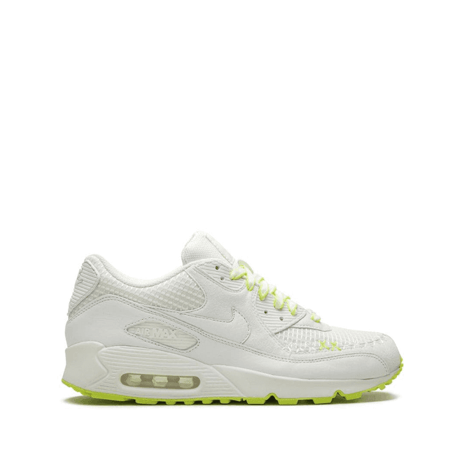 Kaws x Nike Air Max 90