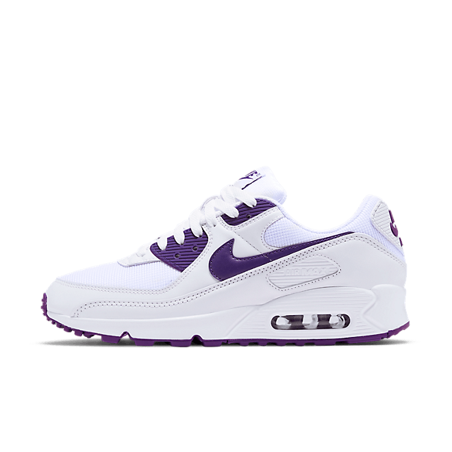 Nike Air Max 90 Summer Pack 'Court Purple' CT1028-100