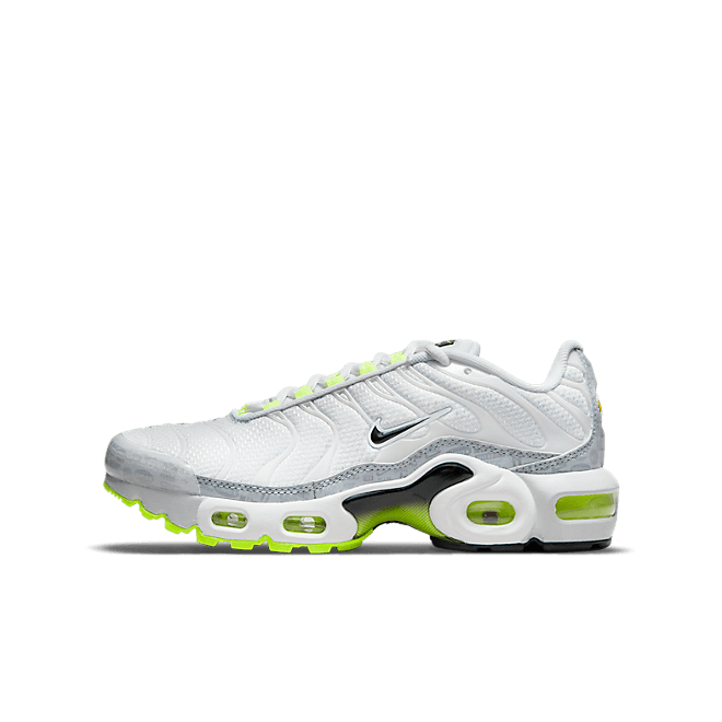 Nike Air Max Plus Retro Air Max Logos (GS)