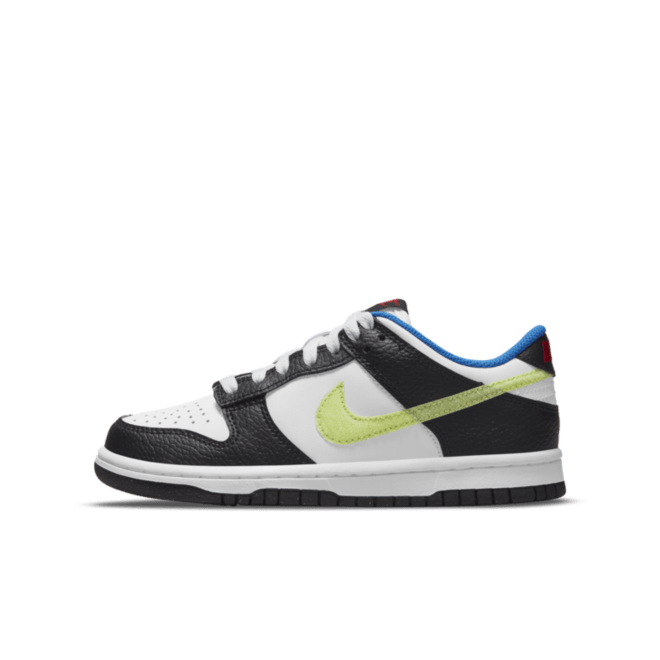Nike Dunk Low GS 'Hangtag' DQ0977-100