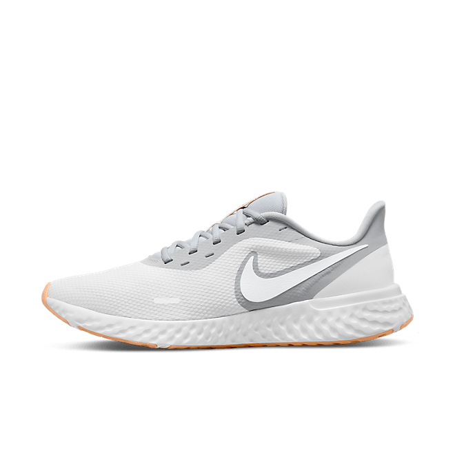 Nike Revolution 5 Platinum Tint Grey Fog BQ3204-019