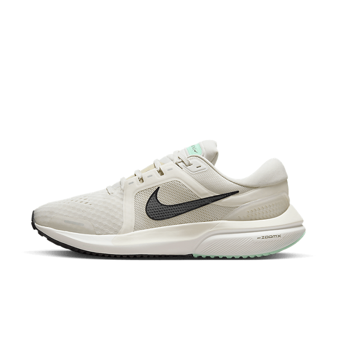 Nike Air Zoom Vomero 16 Marathon Running  DA7245-006