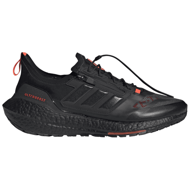 adidas Ultra Boost 21 GORE-TEX Carbon