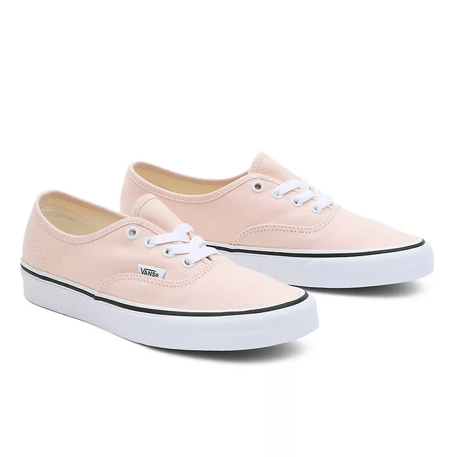 VANS Color Theory Authentic  VN0A5JMPBM0