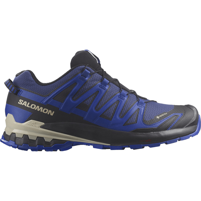 Herren Trailrunning-Schuhe SALOMON XA PRO 3D V9 GTX L47270300