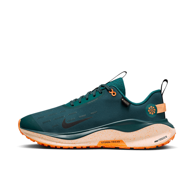 Nike InfinityRN 4 GORE-TEX Waterproof Road FB2204-300