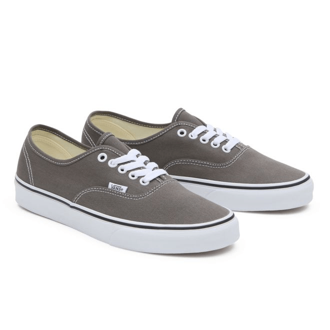 VANS Color Theory Authentic  VN000BW59JC