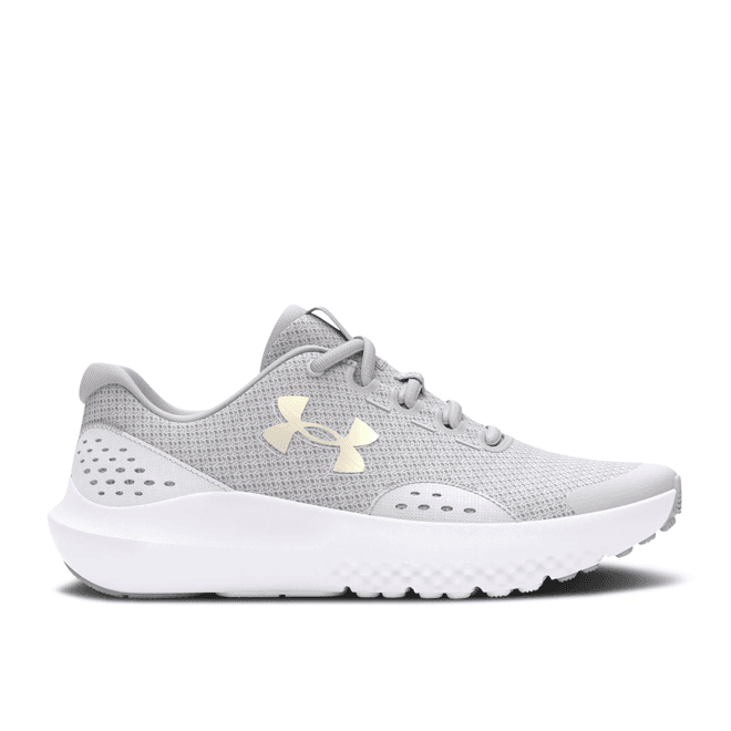 Under Armour Surge 4 GS 'Halo Grey Iridescent'
