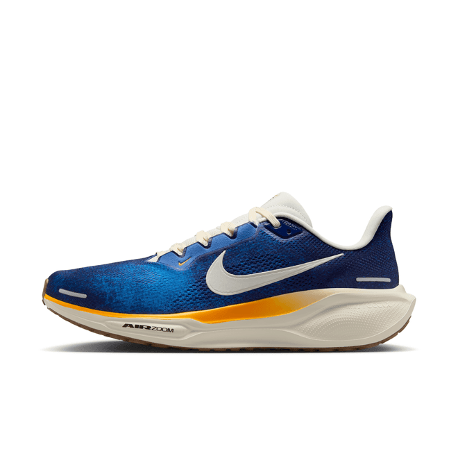 Nike Pegasus 41 Road