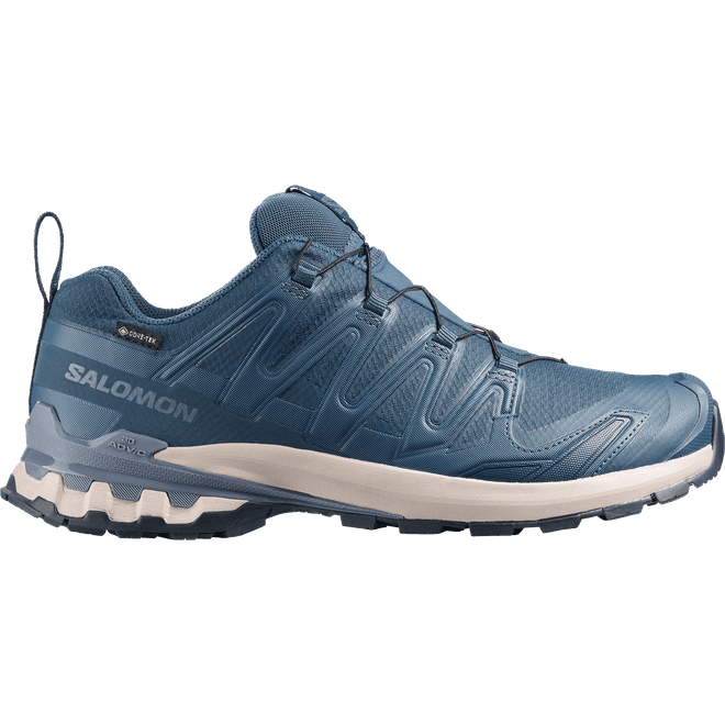 Salomon Xa Pro 3d V9 Gtx