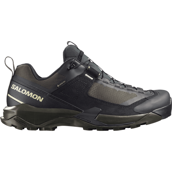 Salomon X Ultra Alpine Gtx