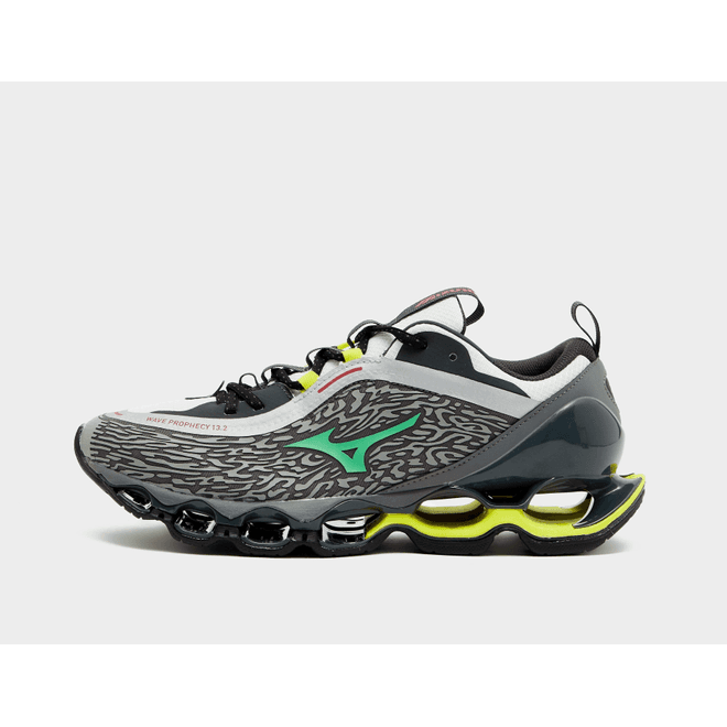 Mizuno Wave Prophecy 13.2