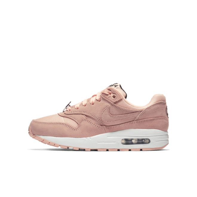 Nike Air Max 1 GS Coral 'Have A Nike Day' AT8131-600