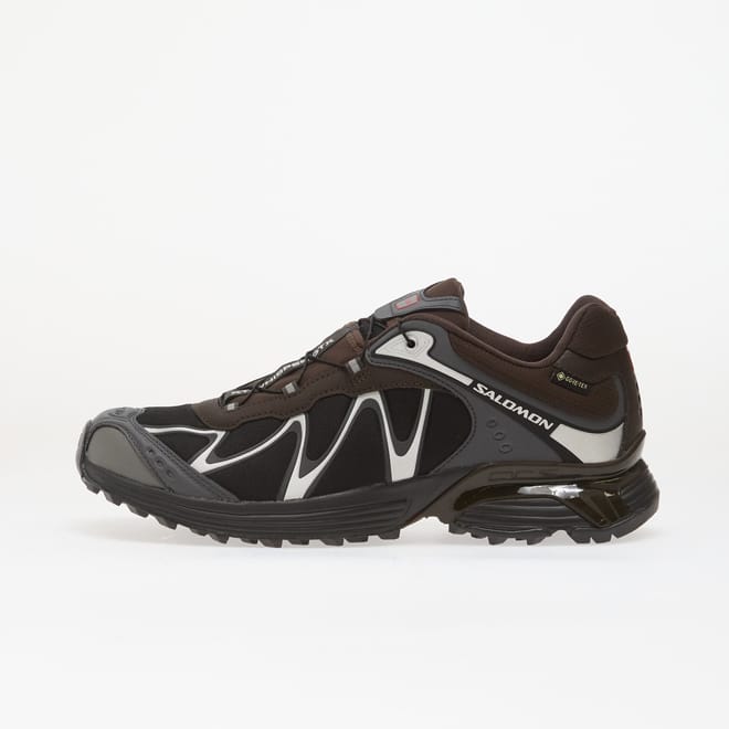 Salomon XT-Whisper GTX Dlciso | L45397800